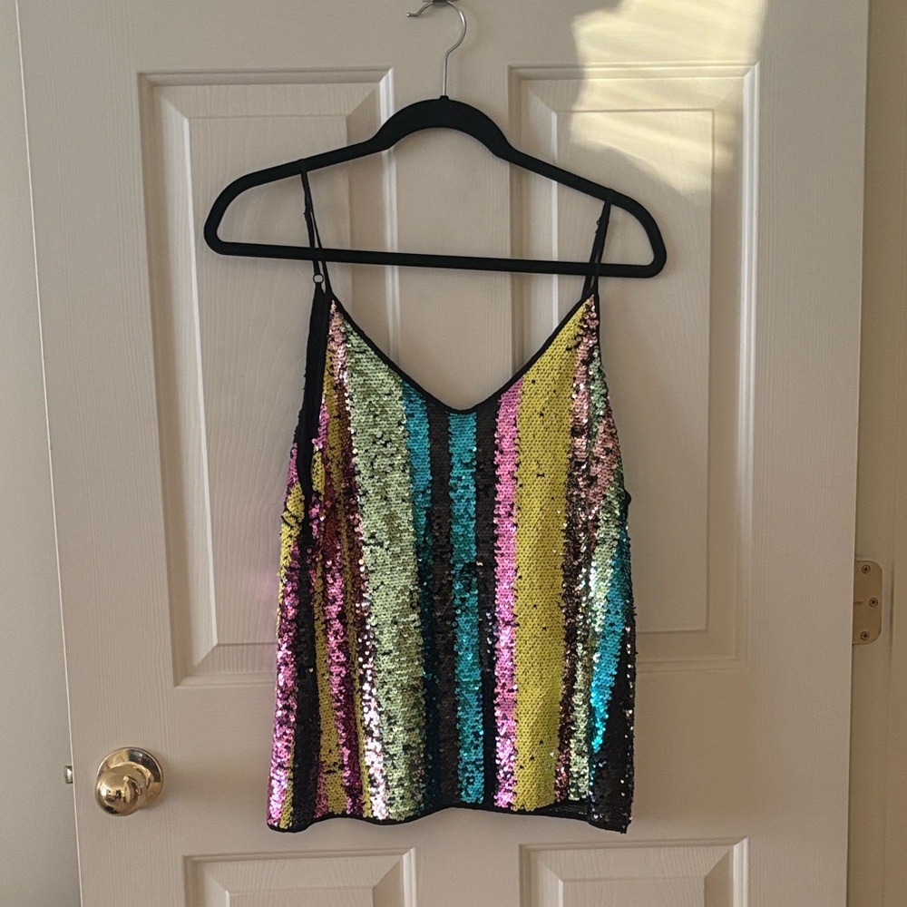 Multicolor Sequin Striped Women's Top